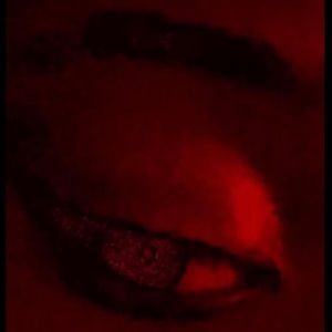 Meet your Posher, Delvon